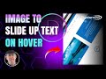 Divi Theme Image To Slide Up Text On Hover 👍👈