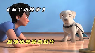 全校最笨的狗狗，立志要當導盲犬，超萌治愈勵志短片 #电影 #电影解说 #影视 #影视解说 #剧情