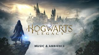 Harry Potter Ambient Music  Hogwarts Legacy  Relaxing Studying Sleeping
