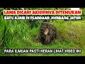 semoga pemerintah lihat video ini| batu ajaib di jombang yang di cari selama ini