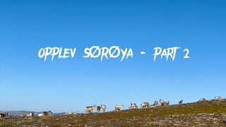 Hasvik | opplev Sørøya -2 | Experience The Soroya | 4K video | Stunning Scenery | KrishnAK ||