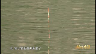 《游钓中国》第三季 第36集 丹霞地貌震撼无比 小鱼闹窝惹人忧心 Fishing tour in China【游钓中国栏目组】