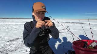 Ice Fishing In Colorado | Catching Trout \u0026 Good Times on the Ice!