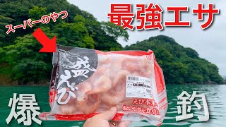 【ボート釣り】最強エサ検証！魚が湧く海でスーパーのえび使ったら、釣果凄まじかった！【#福井釣り 】