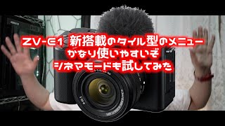 【ZV-E1：軽く撮影のインプレッション】S-cinetoneのシネマモードで撮ってみました。いろいろ考えるところがあります。ファーストインプレション３部作、その２　#ZVE1