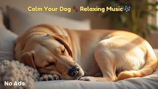 Anxiety Relief for Dogs: Relaxing Sounds for a Peaceful Day 🐶☀️