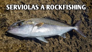 Buscando SERVIOLAS en ZONA PROFUNDA a ROCKFISHING | VideoBlog #22