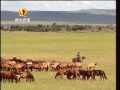 周传莹 璐瑶 池海滨 霸桥柳