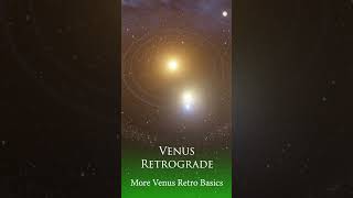 MORE VENUS RETRO BASICS #shorts