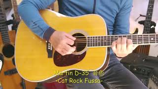 【 Martin D-28 D-35  音色比較 】　キャットロック試奏　動画　マーチン Sound Sample