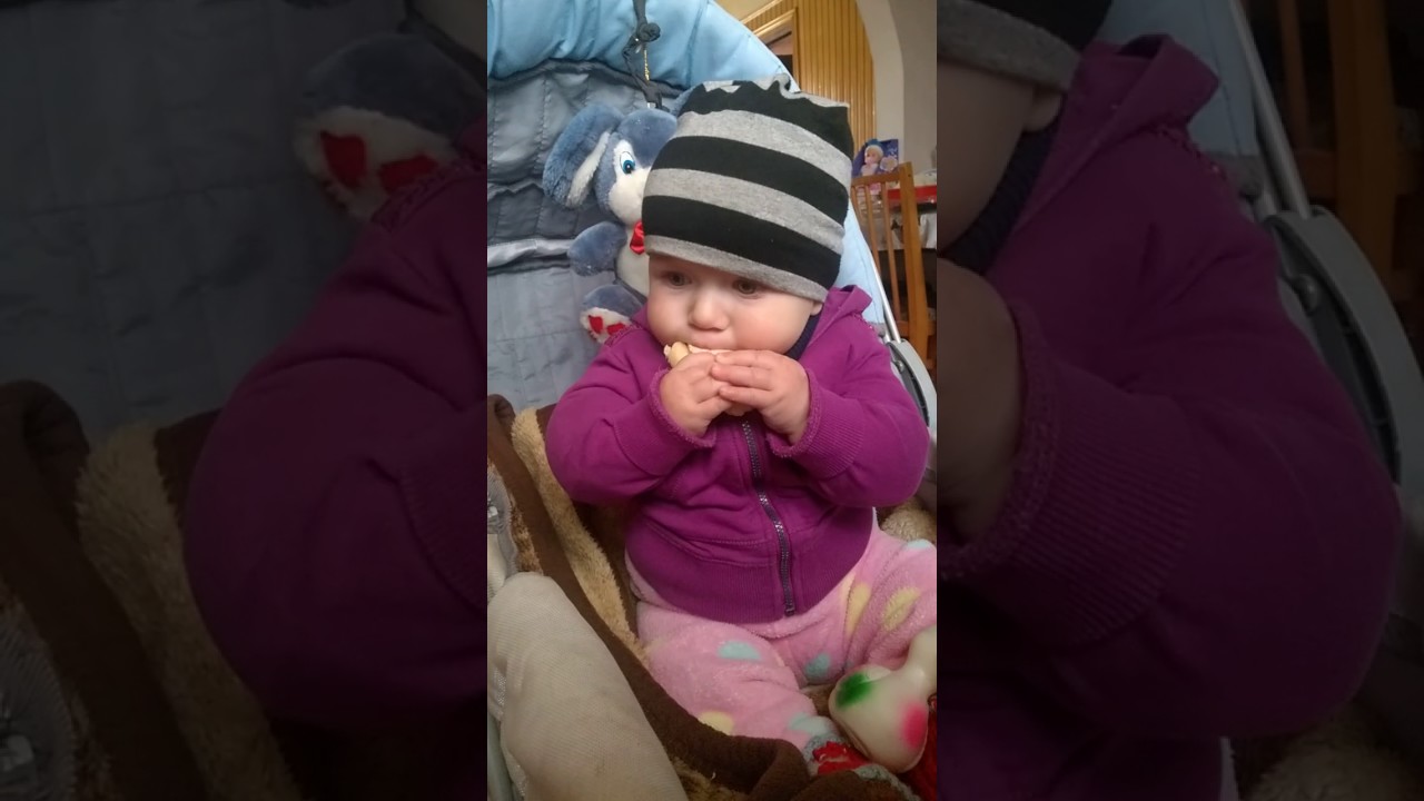 Wp 20161208 005 Youtube