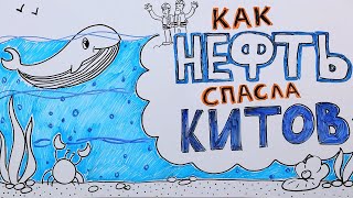 Как нефть спасла жизнь китам?