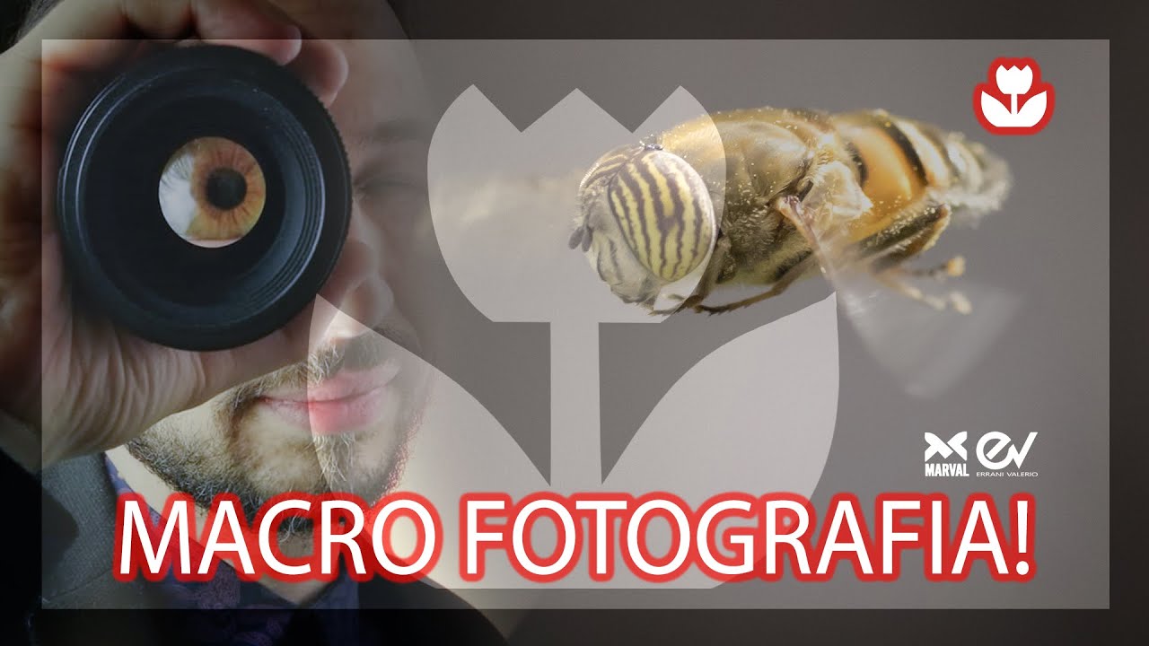 Cosa Usare Per Fare Macro Fotografia: Ecco Come Trasformare Gli ...