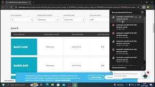 How to download and install Java JDK 8 without oracle account on windows 10 [QUICK & EASY]