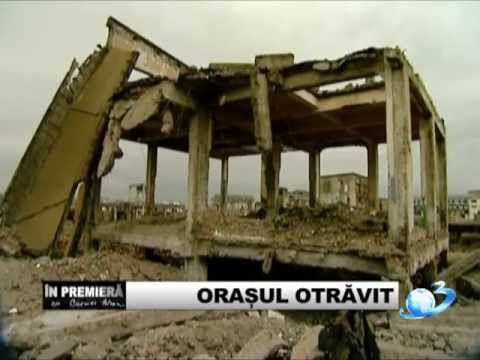 Turda otravita