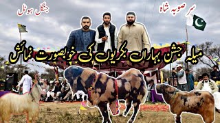 Goat Show at Sar Soba Shah||Bakriyun ki sab Bari Numaish|میلہ۔۔جشن بہاراں۔۔بکریوں کی خوبصورت نمائش۔۔