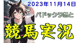 パドック予想で競馬実況.2023.11.4