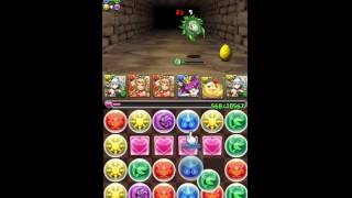 パズドラ「勇者降臨」薔薇戦姫・グレイスヴァルキリー キングヒカりん２７倍 ノーコン攻略