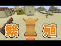 【マイクラ1.20】新しいmobのラクダの特徴まとめ！ラクダは2人乗りができる？！【マインクラフト】