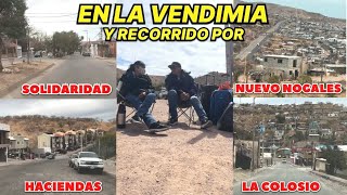 EN LA VENDIMIA RECORRIDO POR LA SOLIDARIDAD, HACIENDAS, NUEVO NOGALES,  Y LA COLOSIO.