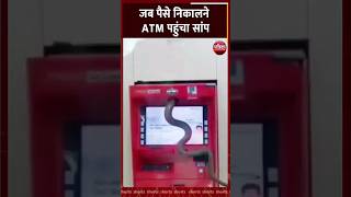 क्या हुआ ATM मे घुस गया Snake #shortvideo #viralvideo