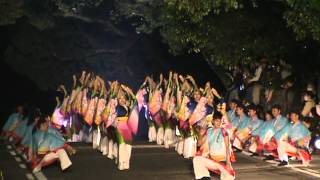 2012おきゃく・よさこい春宵祭(三翠園横 坂道)　十人十彩