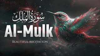 Surah Mulk ( Al Mulk ) Ep - 39 By Qari Zia Ur Rheman | سورۃ الملک68 | Beautiful Recitation