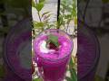 Healthy & Tasty Smoothie Recipe #shorts #shortsvideo #viral #trending #viralshorts #cooking #recipe