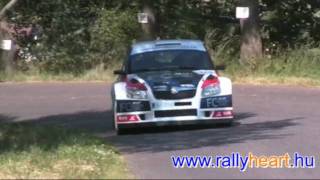 Bohemia rally 2010