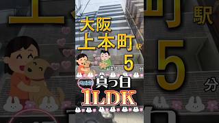 【K0241】大阪上本町駅まで徒歩５分❗️ペット飼育可な真っ白1LDK❕大阪市中央区 #ルームツアー #大阪賃貸 #賃貸物件 #部屋探し #部屋紹介 #ペット飼育可