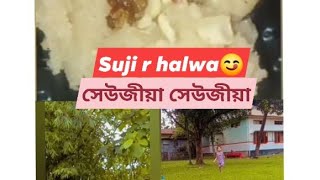 আহক আজিৰ দিনতো কেনেকৈ গৈছে চাওক/Suji r Halwa/সেউজীয়া সেউজীয়া গোটেই বাৰী চাওক।