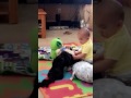 Baby Jameson | Attempt to play with family dog