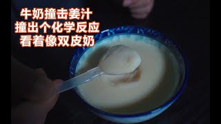 99.9元 一 碗 科 学 姜 撞 奶