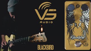 Demos in the Dark // VS Audio Blackbird Overdrive // Guitar Pedal Demo