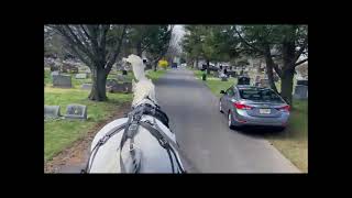 White Horse and Funeral Carriage for Final Farewell Odd Fellow Cemetery Burlington NJ March 29 2021