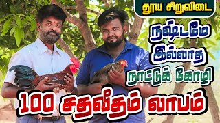 நஷ்டமே இல்லாத நாட்டுக் கோழி பண்ணை | 100 சதவீதம் லாபம் | தூய சிறுவிடை கோழி  குஞ்சு விற்பனை | TAMIL |