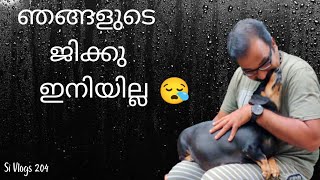 മതിൽ ചാടി വന്ന തെരുവ് നായയുമായി ഇണ ചേർന്ന ജിക്കുവിന് സംഭവിച്ചത് കണ്ടോ?? Pet Lovers ശ്രദ്ധിക്കുക....