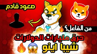 حرق مليارات عملة شيبا اينو والسعر يتجهز للانفجار.. ولكن انتبه!