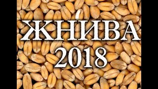 Жнива 2018