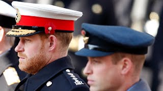 Prince Harry accuses Prince William of physically attacking him