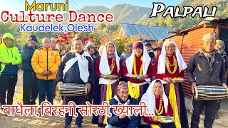 मारूनी नाच || Maruni Dance || Magar Culture ||Nepali Folk Song || Mpg Vlog ||Sorathi ||Palpa ❤️📍