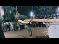 ആന കൊടിമരം പറിച്ചു palliyil bhaghavathi temple perinjanam elephant attack in kerala today