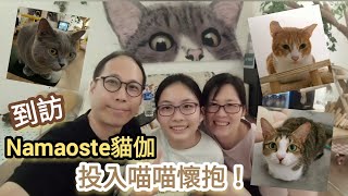 【到訪Namaoste貓伽 投入喵喵懷抱！】Namaoste貓伽│觀塘區│駱駝漆大廈│喵星人│貓星人│貓店長│可愛貓貓│貓貓瑜伽│瑜伽教室│共享空間│派對場地│療癒空間│貓貓領養│貓貓暫託│