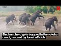 Elephant herd gets trapped in Karnataka canal, rescued by forest officials