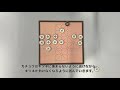 セブンゲームズ　フォックス u0026ギース　遊び方動画