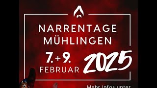 Nachtumzug Mühlingen 07.02.2025