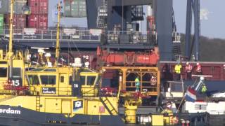 Dode door val lading bij containerterminal