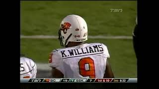 CFL 2010 WESTERN SEMI FINAL BC-LIONS AT SASKATCHEWAN ROUGHRIDERS