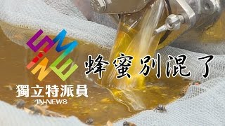 獨立特派員 第453集 (蜂蜜別混了)