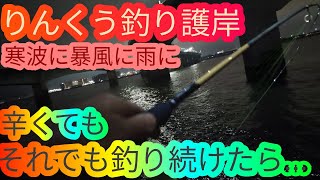 2月の寒波に雨のりんくう釣り護岸…釣れると信じて投げ続けたら…愛知県 知多半島 常滑市 海釣り 100均 daiso ダイソー fishing ロックフィッシュ